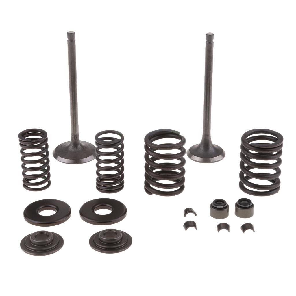 Engine Intake Exhaust Valves Assy GY6 250cc ATV Go Kart Scooter Quad Bike