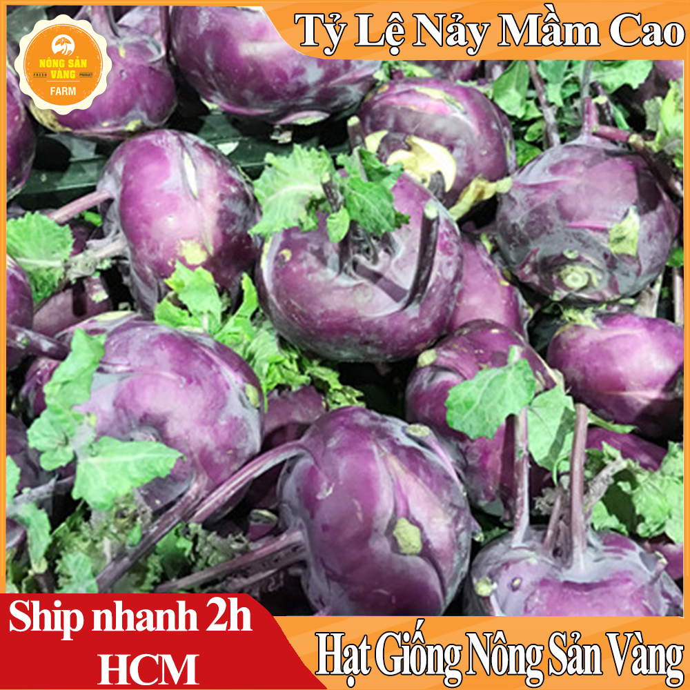 Hạt Giống Su Hào Tím, Dễ Trồng, Dinh Dưỡng Cao Mà Lại Đẹp Mắt - Nông Sản Vàng