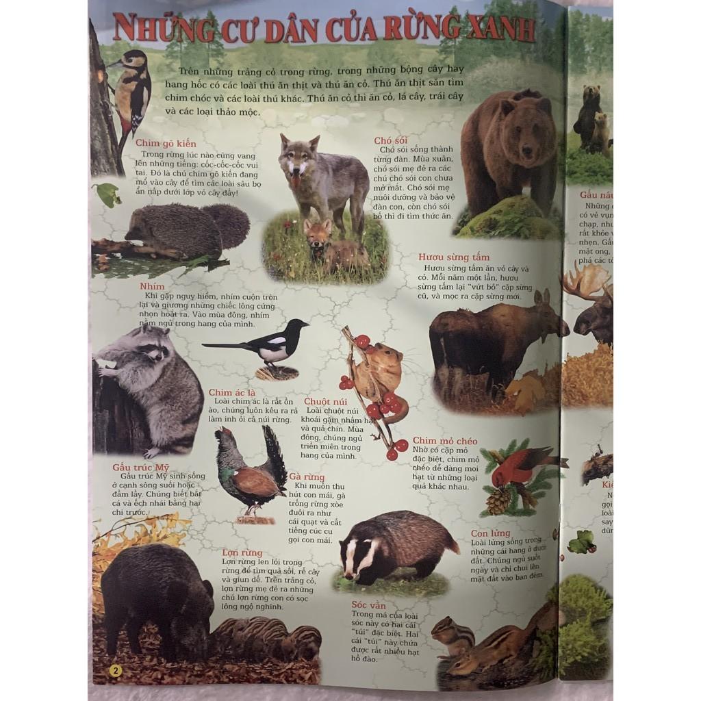Quyển Tranh - Thế Giới Động Vật - Bản Quyền