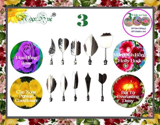 COMBO 2 BỘ Dụng cụ kim làm rau câu 3D 10 kim Ngọc Huệ