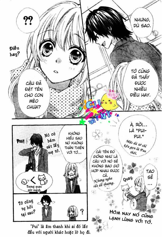 tình yêu của hiyo chapter 5 37