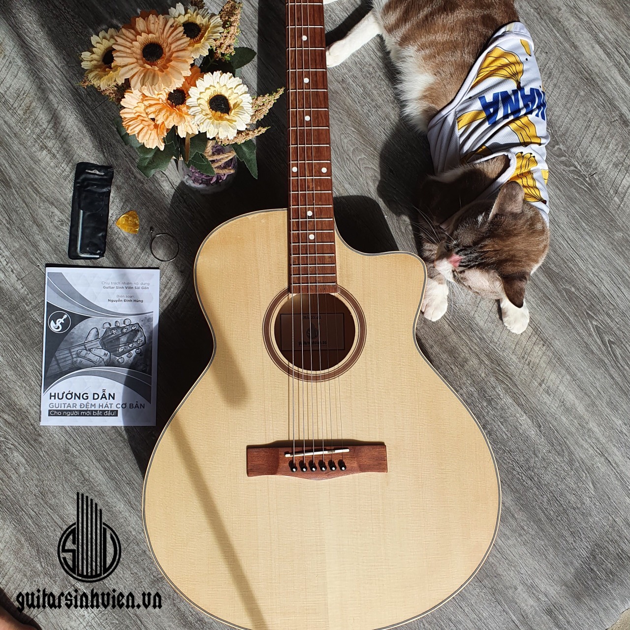 Đàn guitar acoustic SV1 mặt gỗ thông - đàn chuyên tập chơi