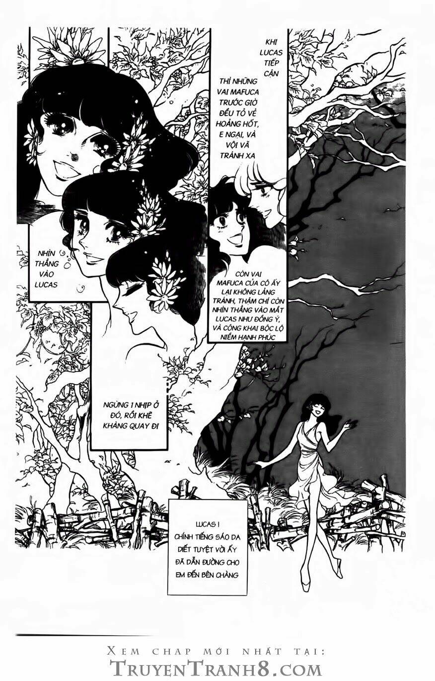 swan - vũ khúc thiên nga chapter 64 12