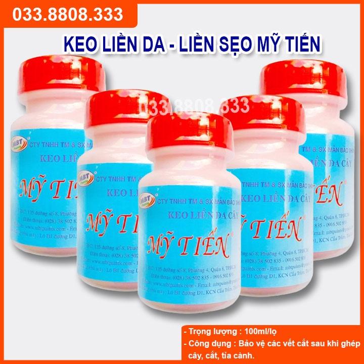 Keo Liền Da Cây - Keo Mỹ Tiến