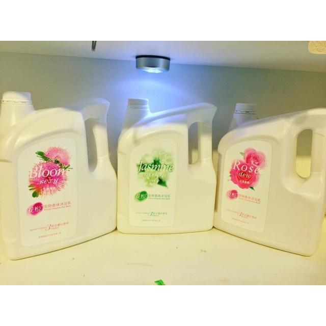 Sữa tắm cho chó, sữa tắm cho mèo hương nước hoa Joyce&Dolls can 4L mẫu cũ Bloom sexy Jasmine modern rose dew