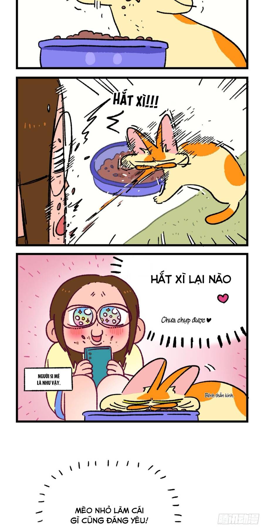 a mãn và mạch trà chapter 168 2