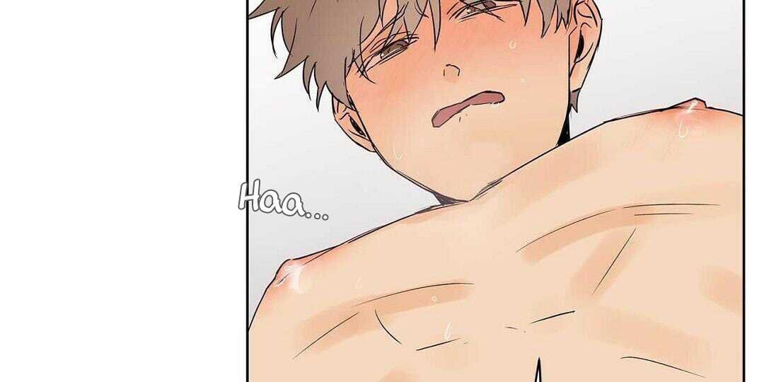 guide cấp b chapter 38 46