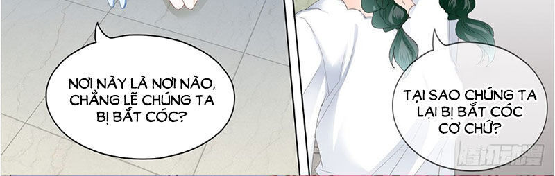 lóe thiểm hôn kiều thê mơ tưởng trốn chapter 245 9