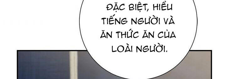 công chúa của loài chim chapter 50 145