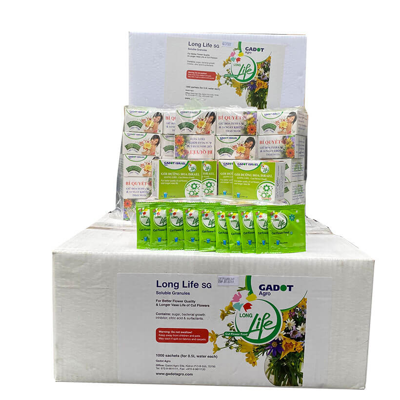 Giá Sỉ Thuốc dưỡng hoa Longlife Gói 5gr Hiệu LongLife Israel là bí quyết giúp hoa cắm bình lâu tàn và 14 ngày không thay nước mới tại vưa sỉ hoa