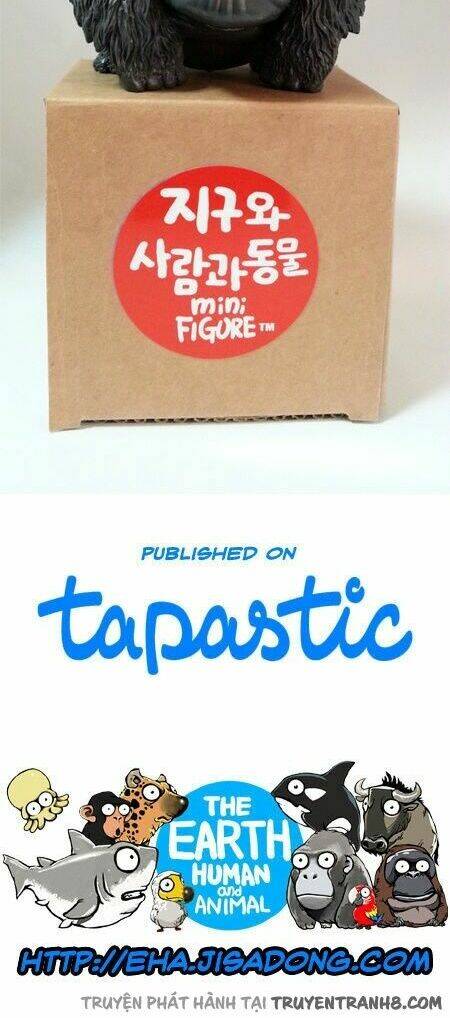 earth, human, and animal chapter 15 27