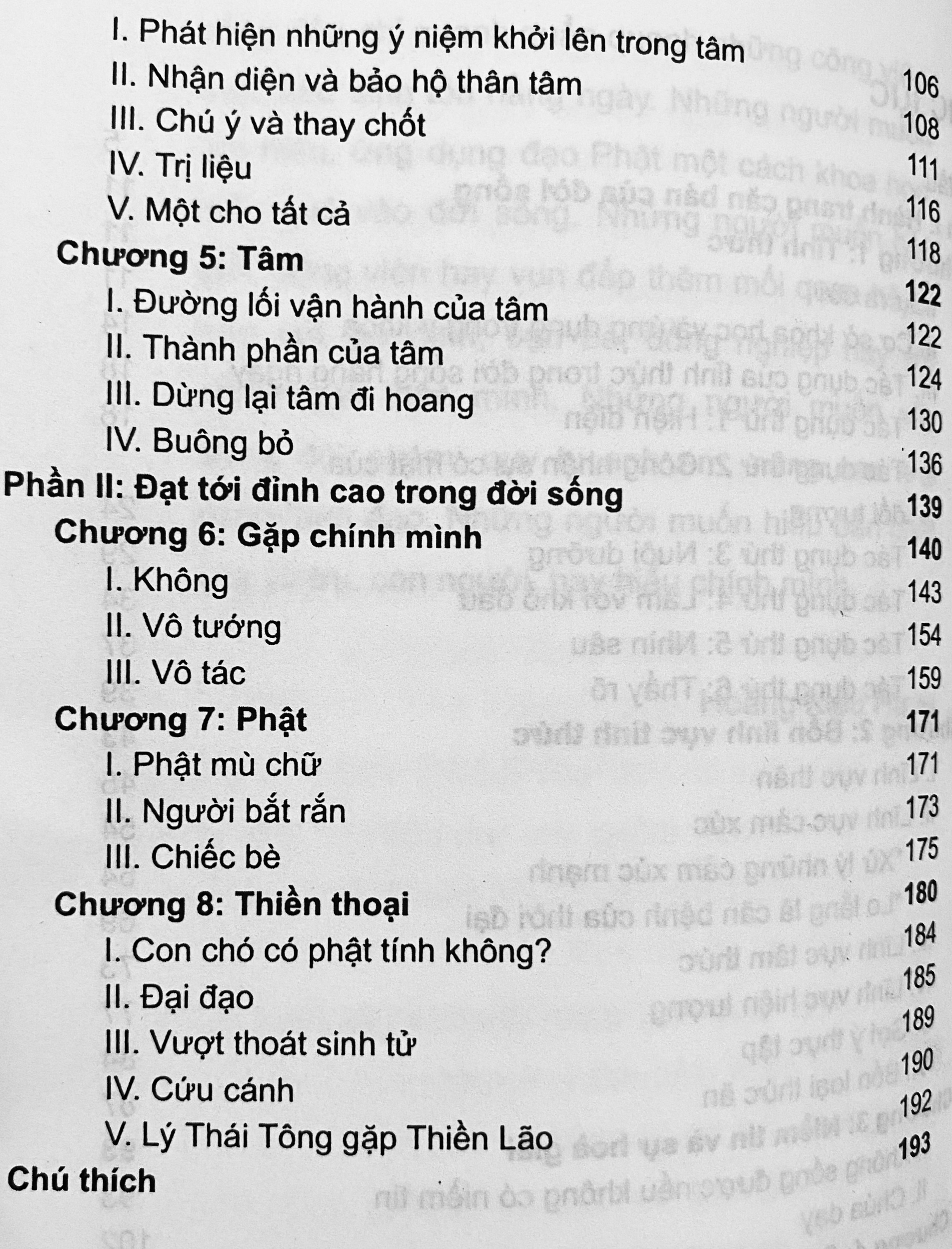 Sách: Gặp Chính Mình, Sống trong tỉnh thức - Cuộc đời tự do. Ứng dụng trí tuệ đạo phật vào đời sống (Hoàng Kiều Hưng)