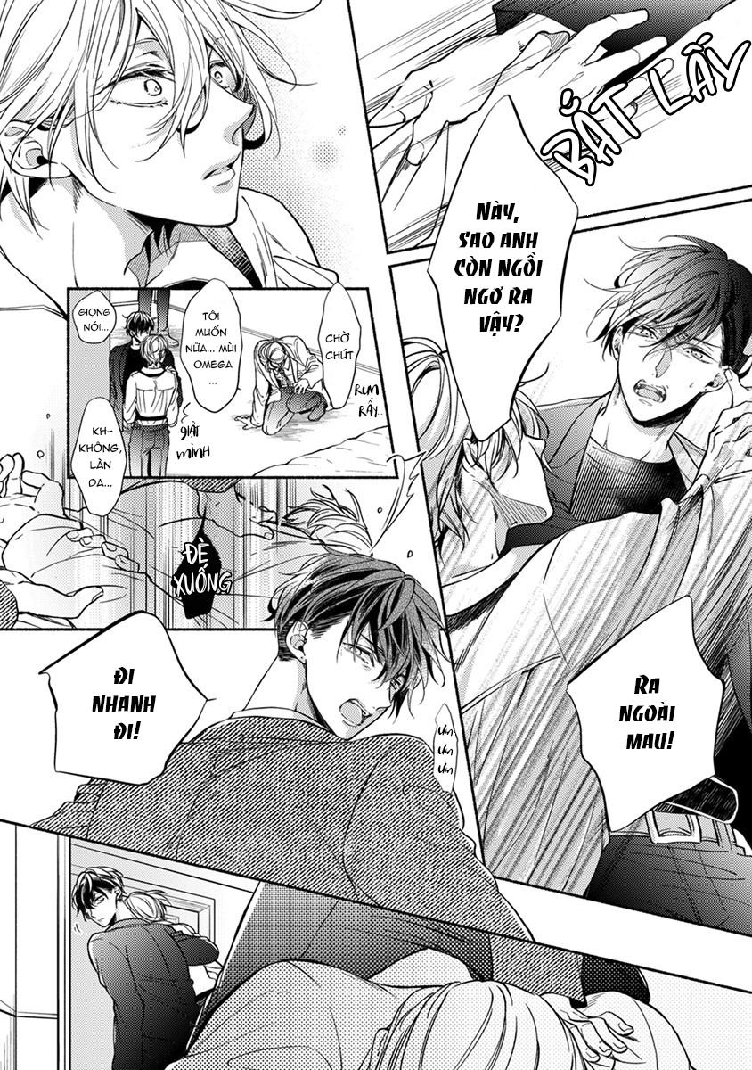 omega giả vờ kiên cường đó là bạn tình của tôi chapter 1 36