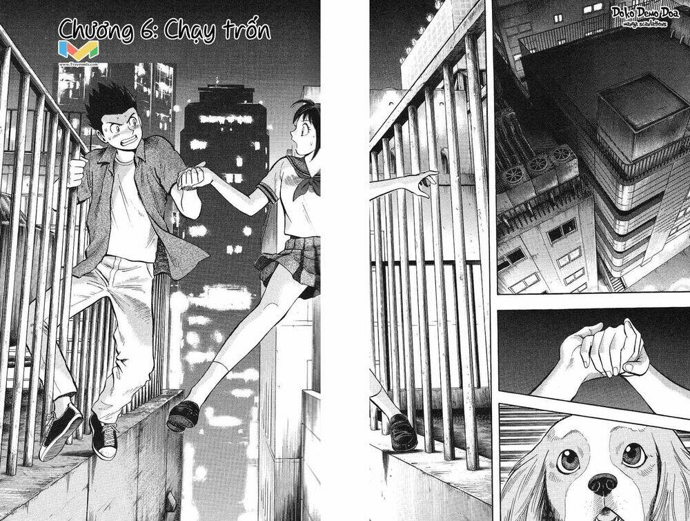 animal sense chapter 6 2