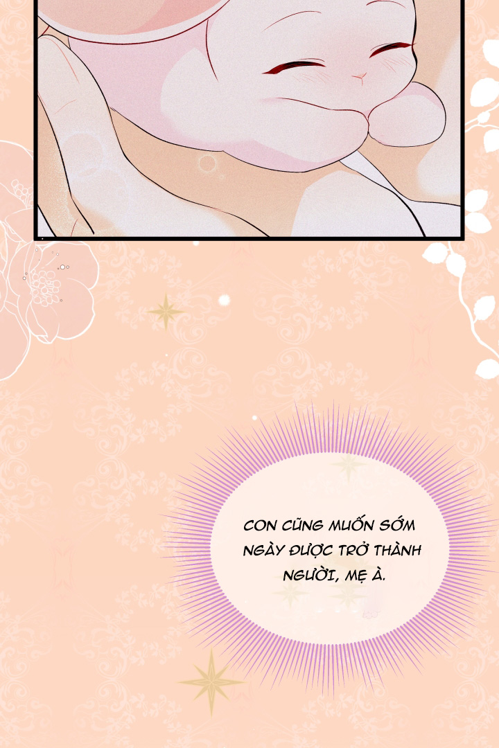 mối liên kết giữa báo đen và bé thỏ chapter 41.1 7