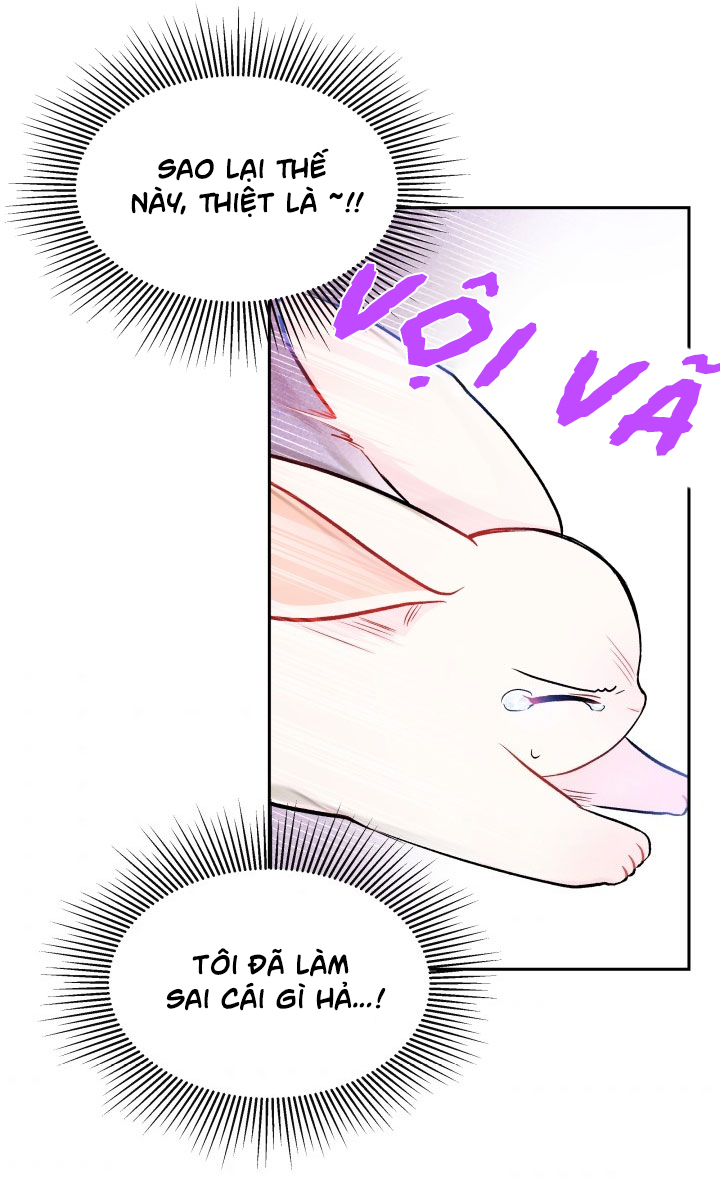 mối liên kết giữa báo đen và bé thỏ chapter 14 37