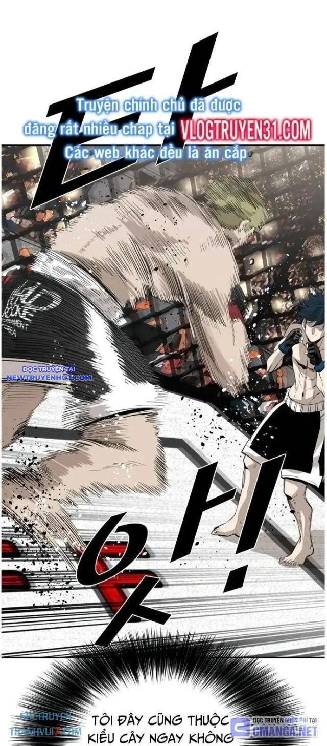 shark - cá mập chapter 144 12