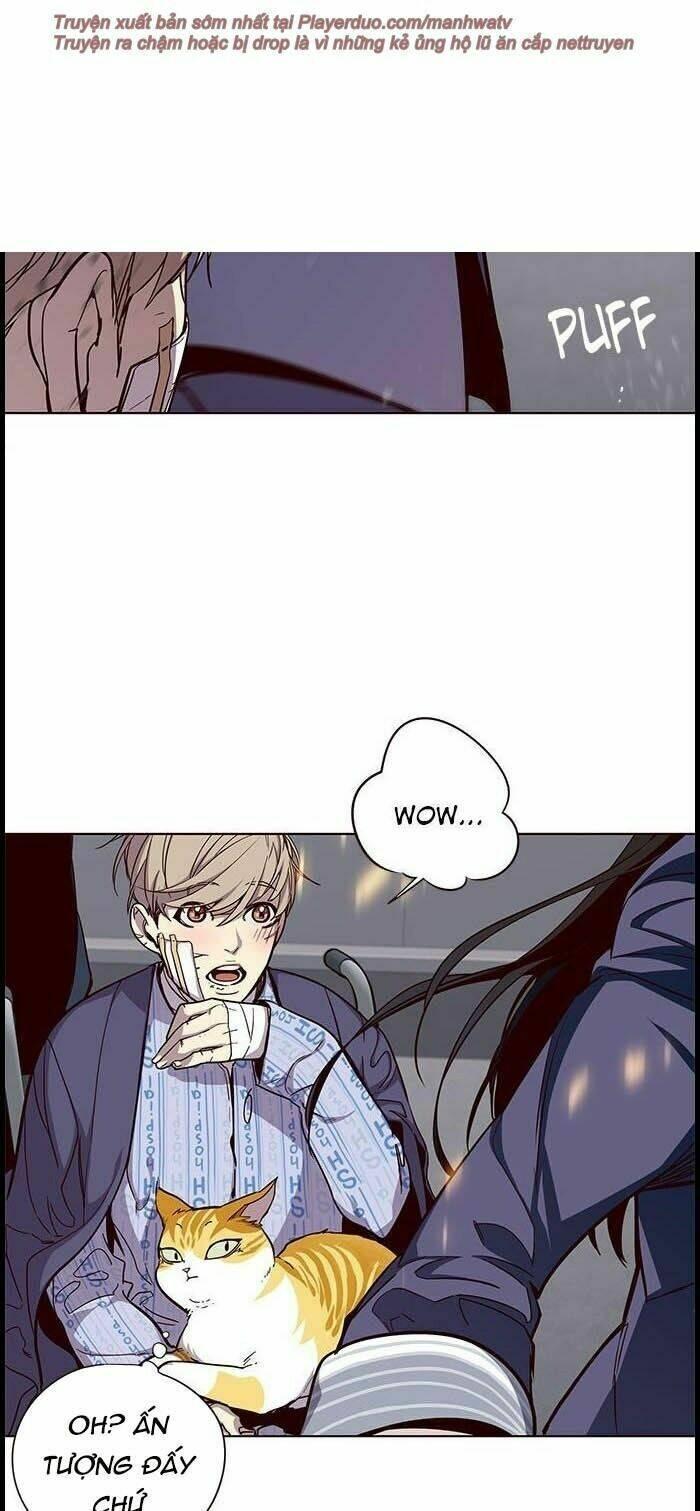 biến thân thành mèo chapter 33 20