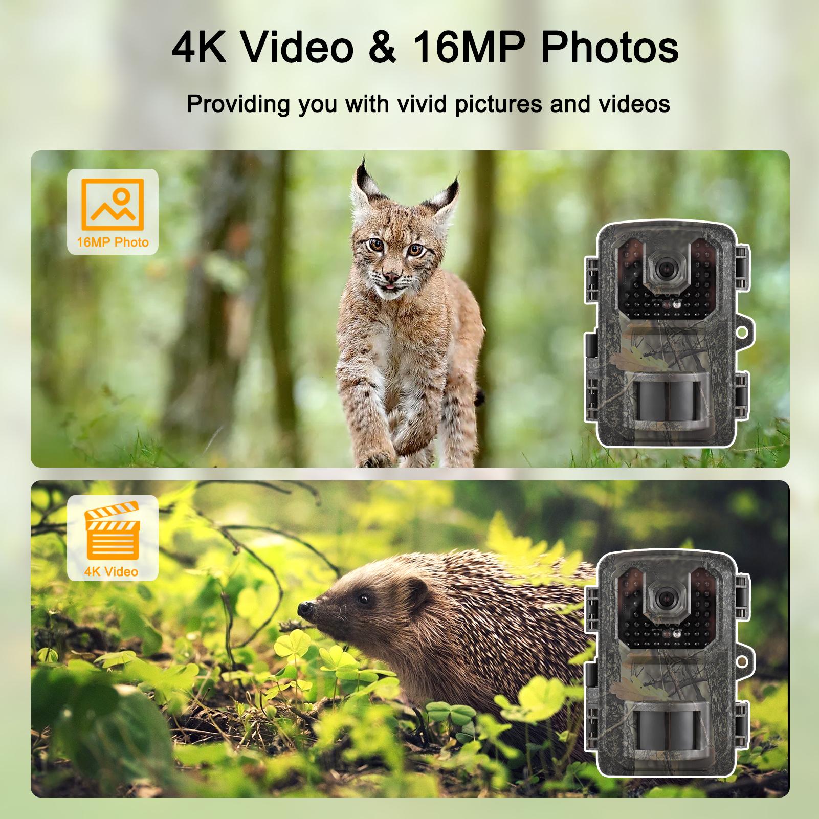 4K Trail Camera 16MP Wildlife Scouting Camera Tracking Camera with 2.0 Inch TFT Color Screen 0.5s Trigger Time Supports Infrared Night Vision Motion Activated IP66 Waterproof