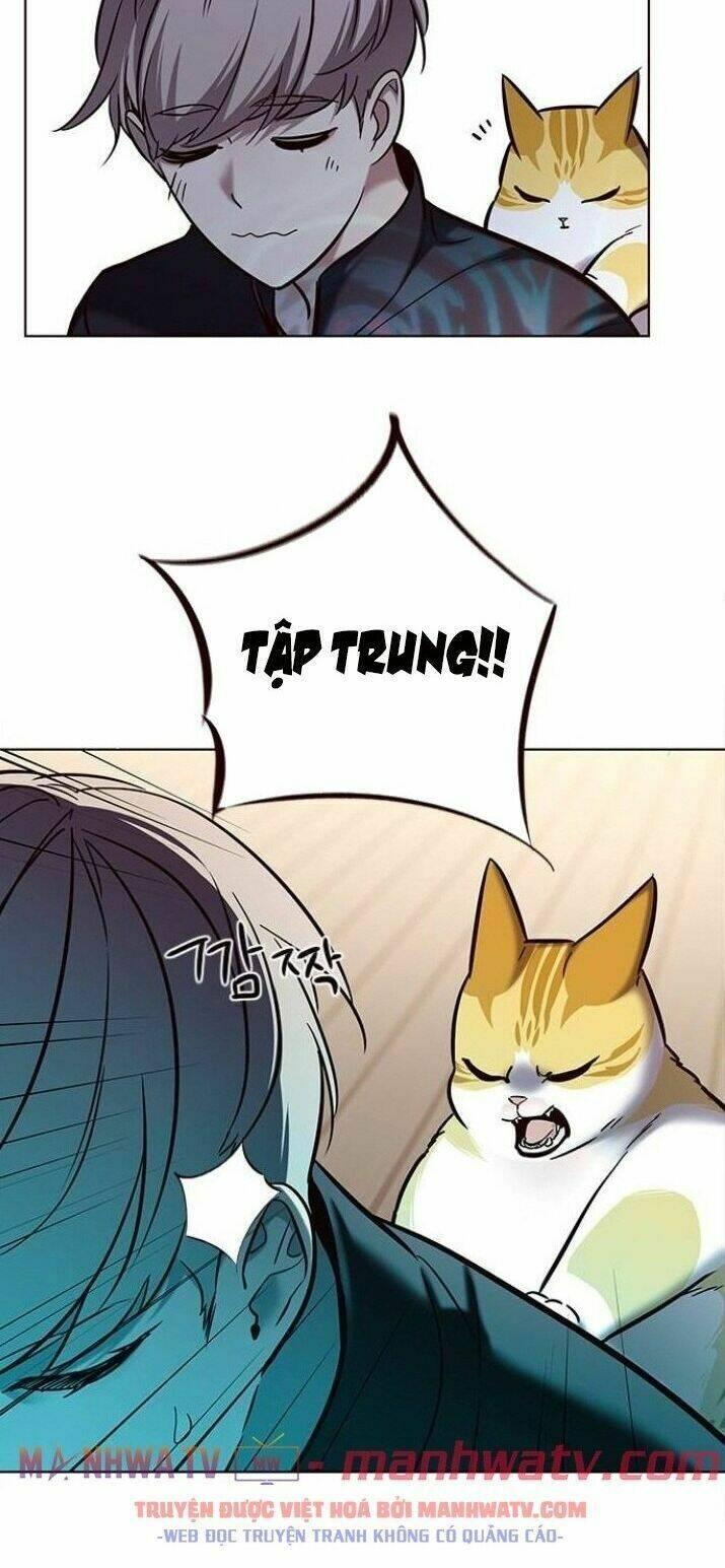 biến thân thành mèo chapter 116 25