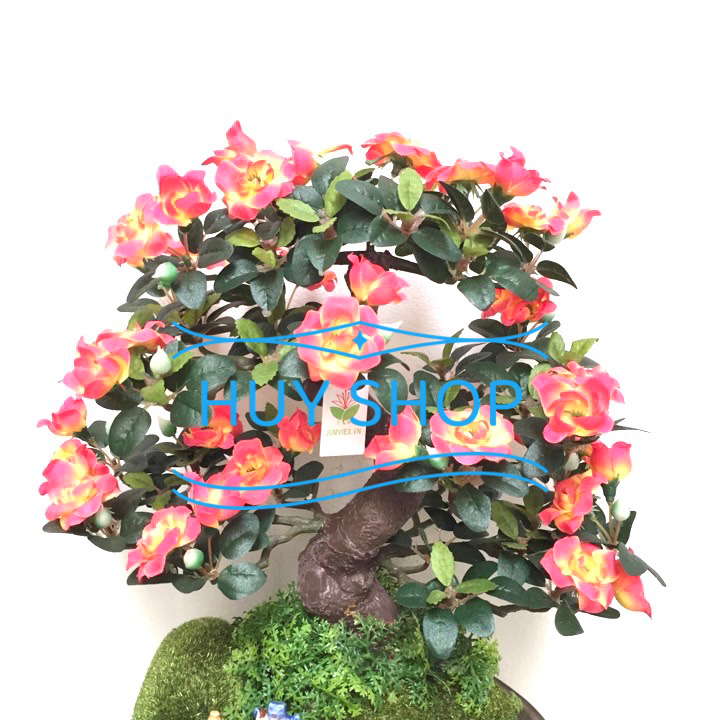 Chậu Bonsai Hoa TƯỜNG VY nhân tạo trang trí nhà cửa