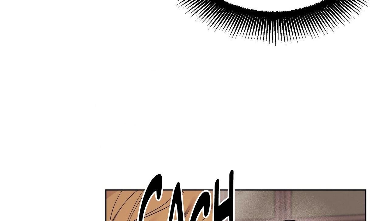 chàng dâu nhà họ kang chapter 2 10