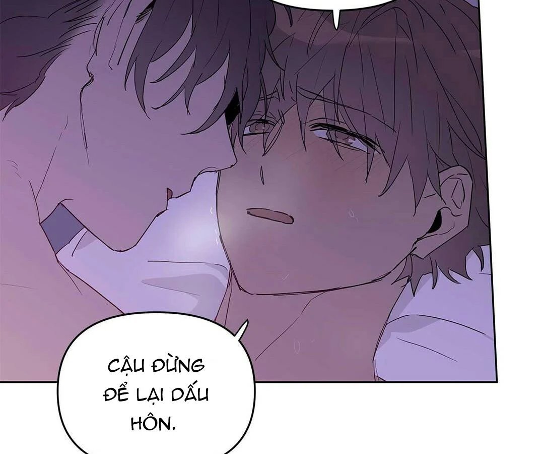 guide cấp b chapter 20 136