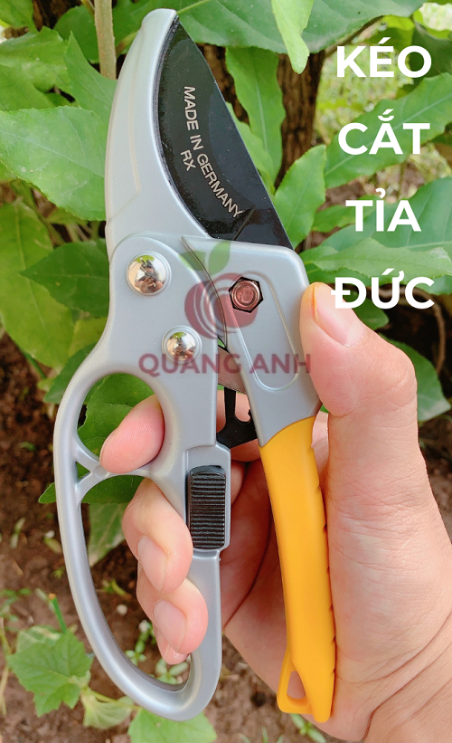 Kéo Cắt Tỉa Cành Nhập Khẩu Đức, Lưỡi Kéo SK5 Siêu Sắc Bền - Kéo Đức RX