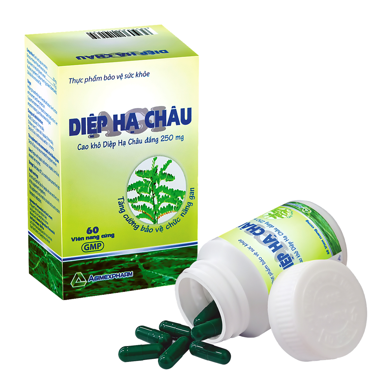 Diệp Hạ Châu Agimexpharm - Tăng Cường Chức Năng Gan (Hộp 60 Viên Nang) | Tiki