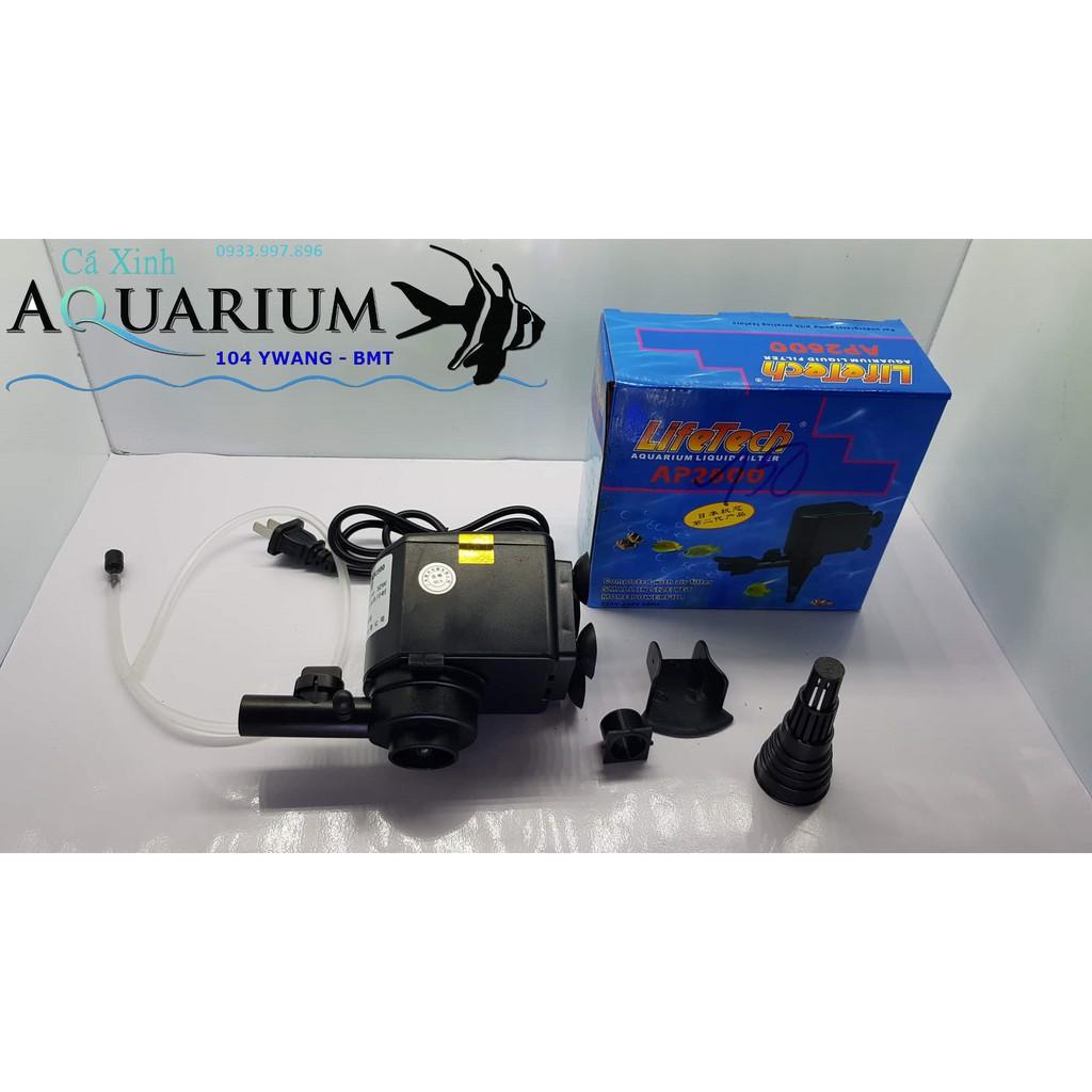 Combo máy bơm lọc nước Lifetech AP 2500 + 1 hộp lọc nhỏ + 1 bông lọc nước hồ cá