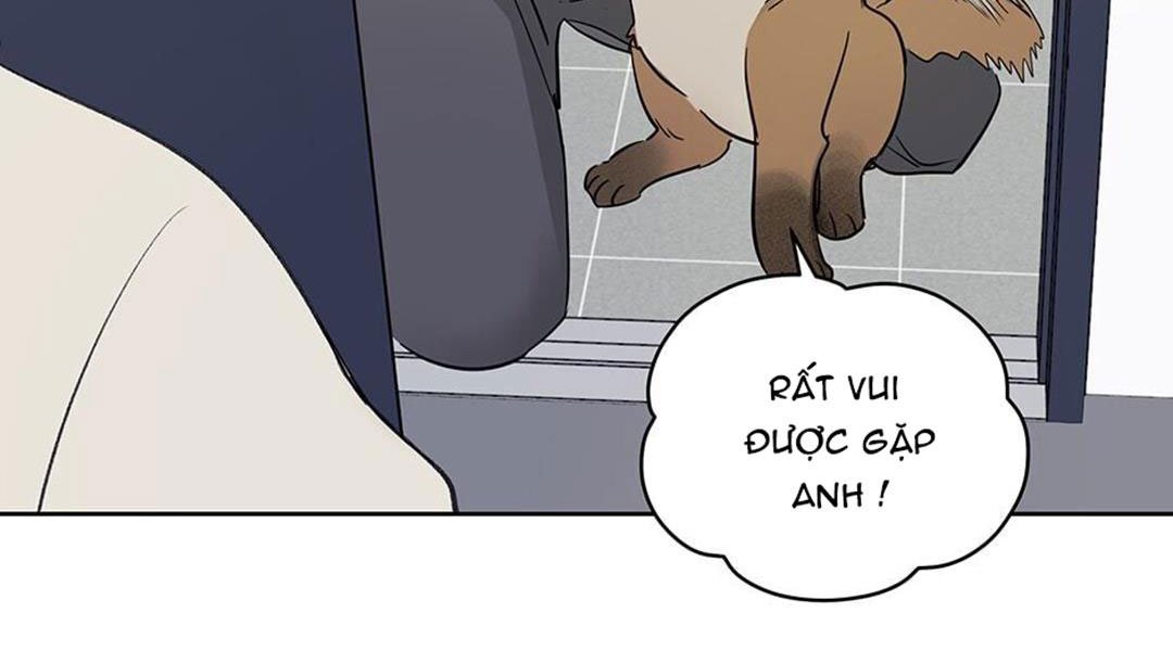 chuyện quái gì với giấc mơ đó vậy chapter 41 55