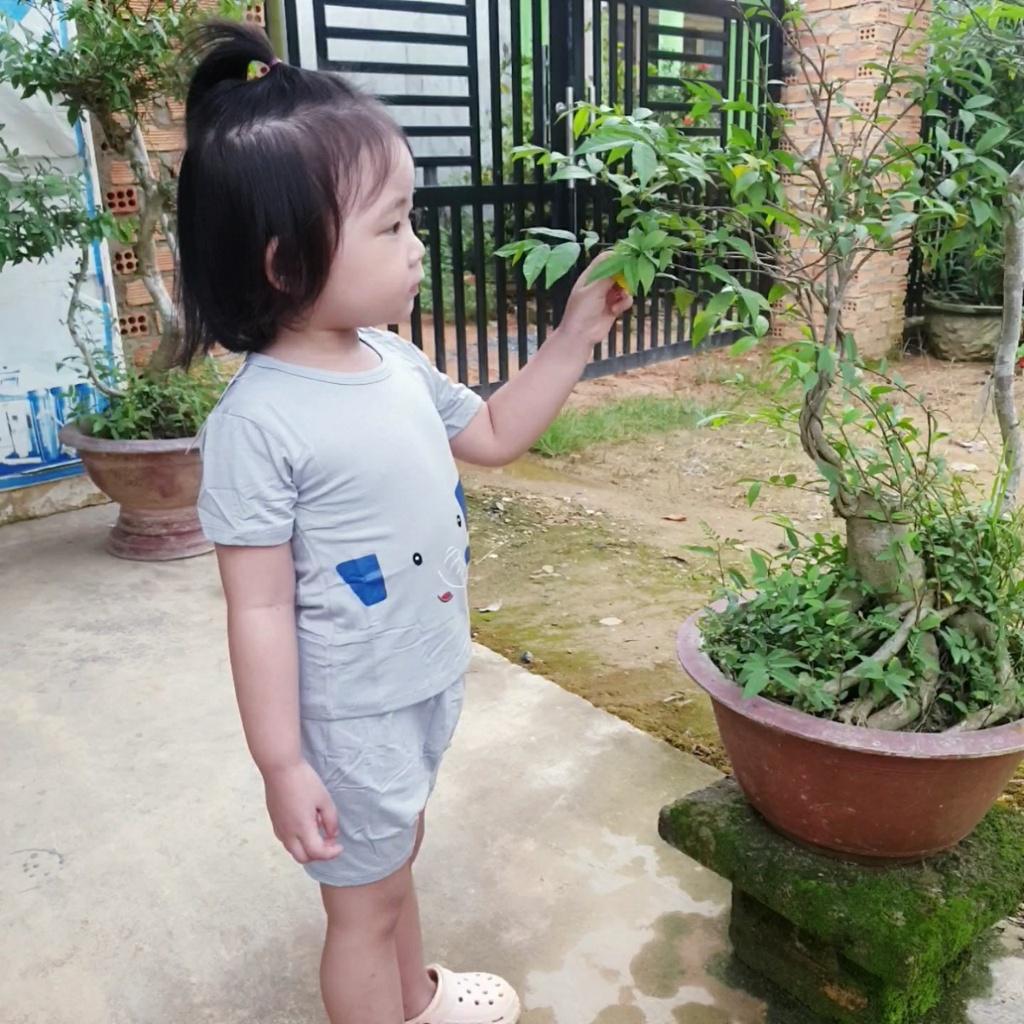 Đồ Bộ Voi Con Cho Bé Vải Thun Lạnh
