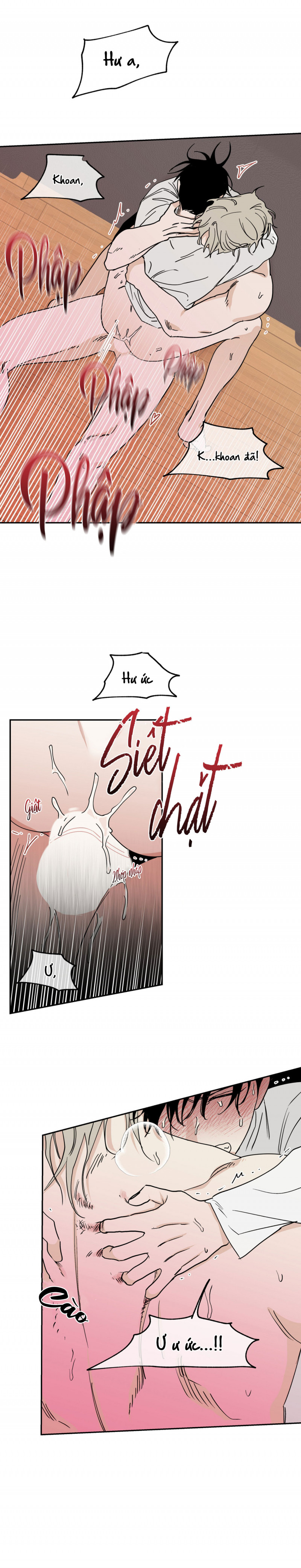 đêm bên bờ biển chapter 12 12