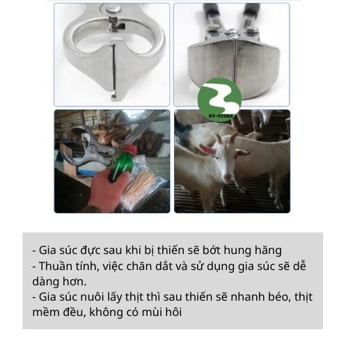 Kìm Thiến Bò  Hỗ trợ thiến động vật