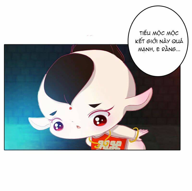 tướng quân mời ra trận chapter 77 11