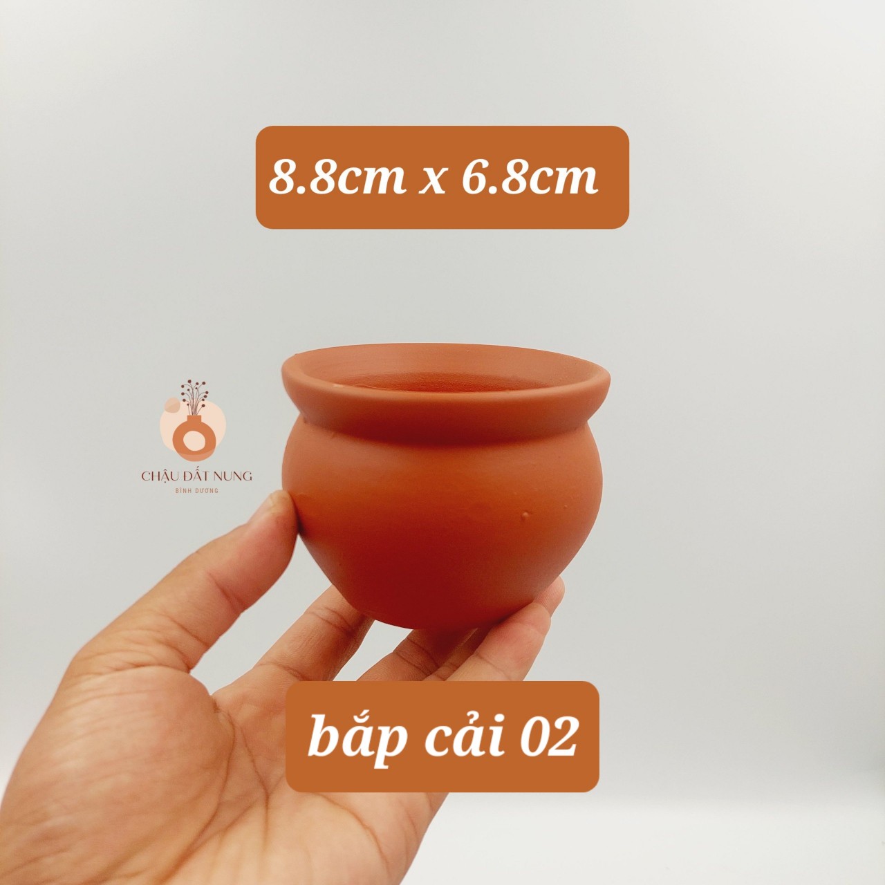 Chậu đất nung Bình Dương- Bắp cải 86, miệng chậu 8~9cm, chiều cao 6~7cm