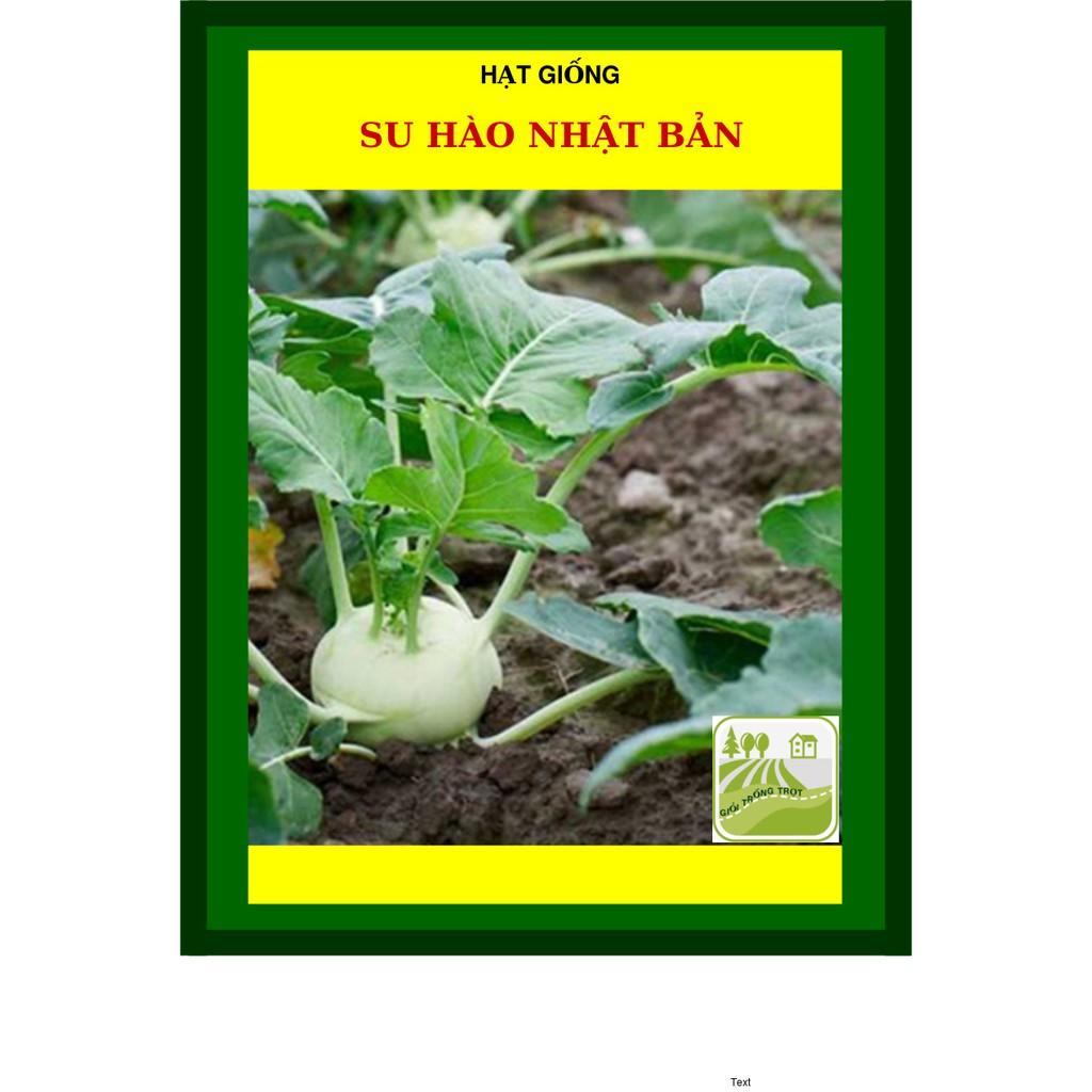 2G - Hạt Giống Su Hào Nhật Bản, Su Hào Tím