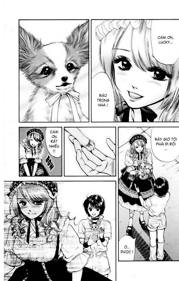 cô nàng yêu chó chapter 15 13