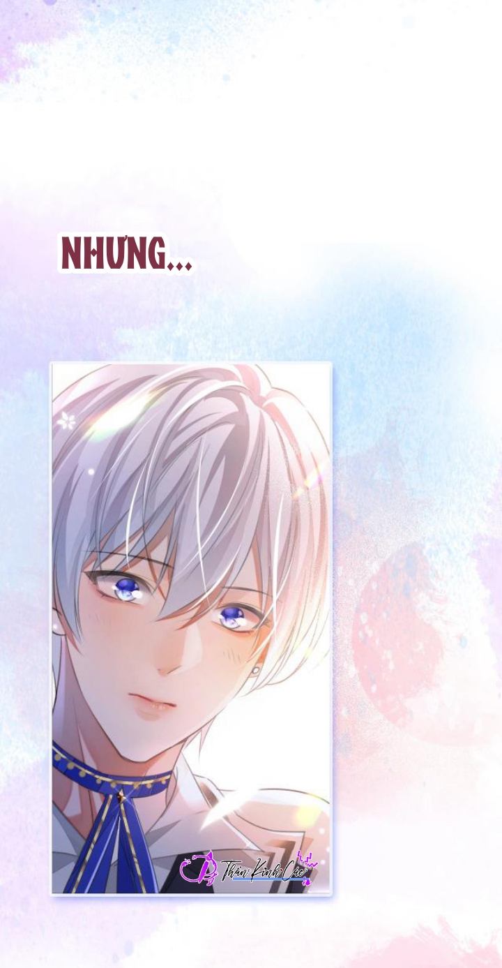 xin hãy ly hôn chapter 0.1 10