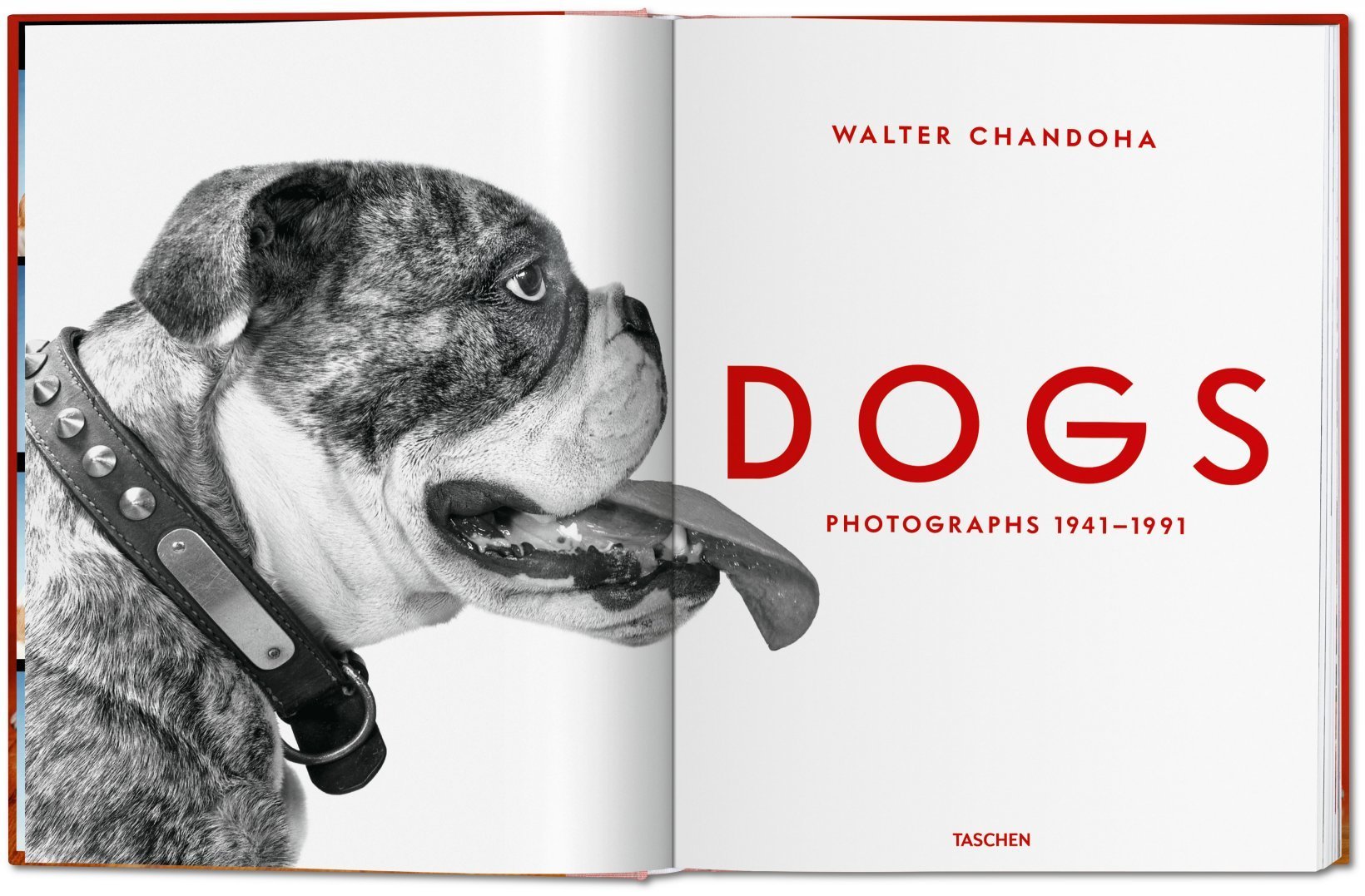 Dogs. Photographs 1941-1991