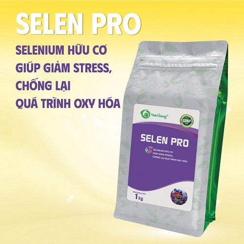 Bổ sung Selenium hữu cơ cho tôm cá SELEN PRO