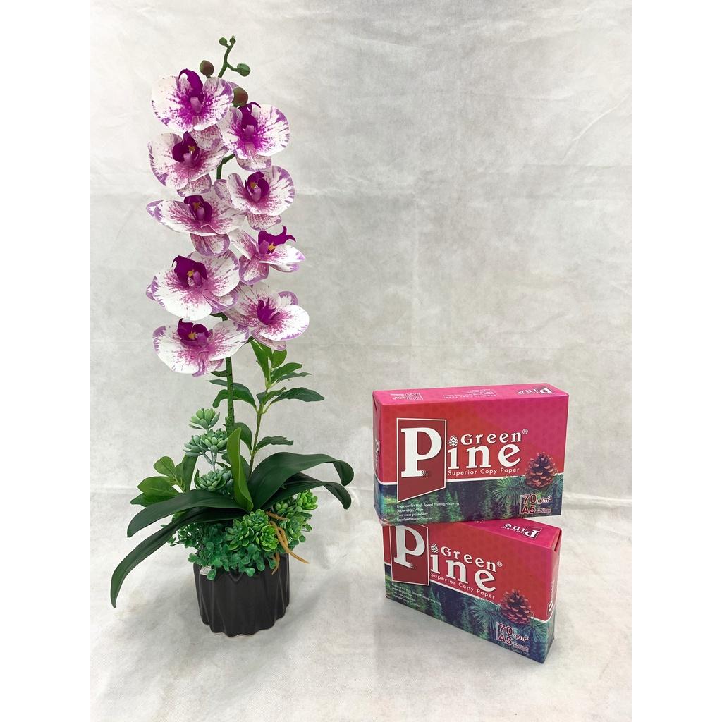 Giấy in, giấy photo Green pine A3, A4, A5 ĐL 70g/m2 Giấy Văn Phòng Giá Rẻ