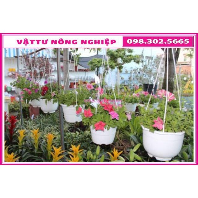 Combo 3 chậu nhựa có dây treo trồng cây và hoa loại Rộng 16cm x Cao 12cm