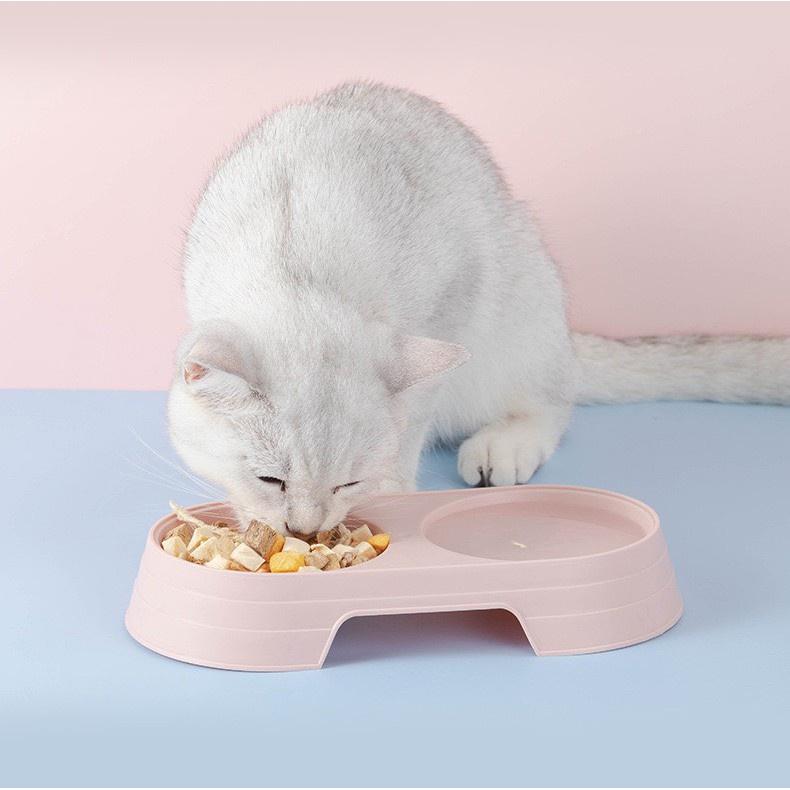 Bát ăn đôi cho thú cưng hình tròn – Chén ăn bằng nhựa cho chó mèo nhiều màu sắc