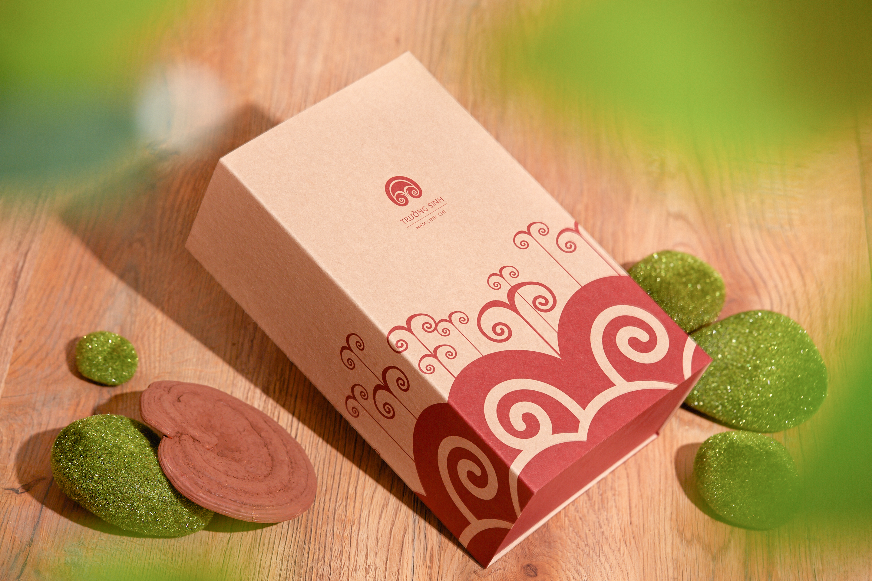 HỘP NẤM LINH CHI AN BÌNH