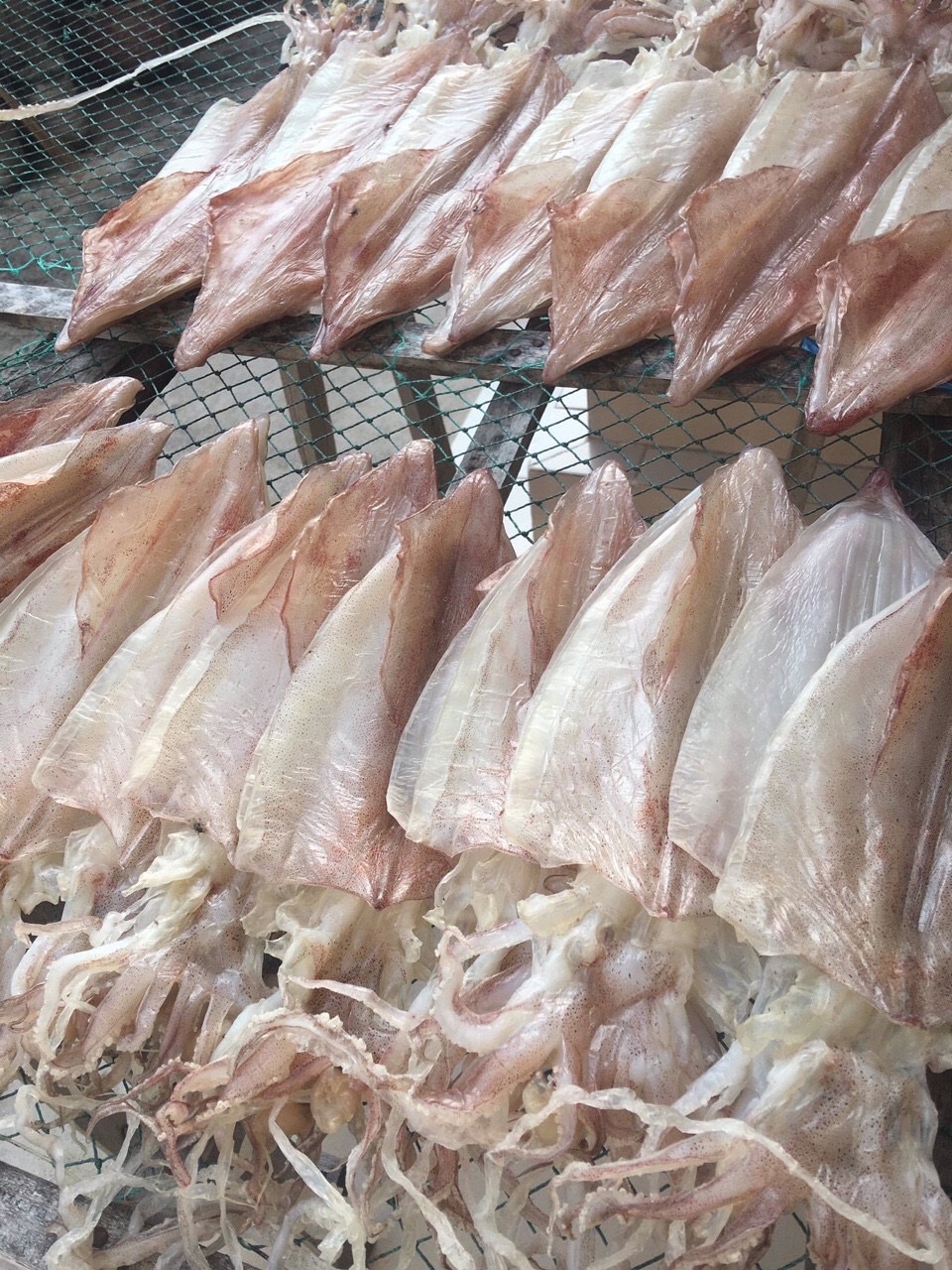 Khô mực size 16-22con - Gói 500g