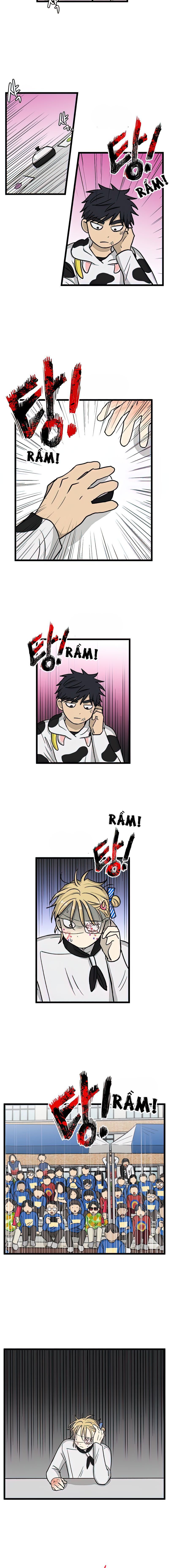 no home - không nhà chapter 165 11