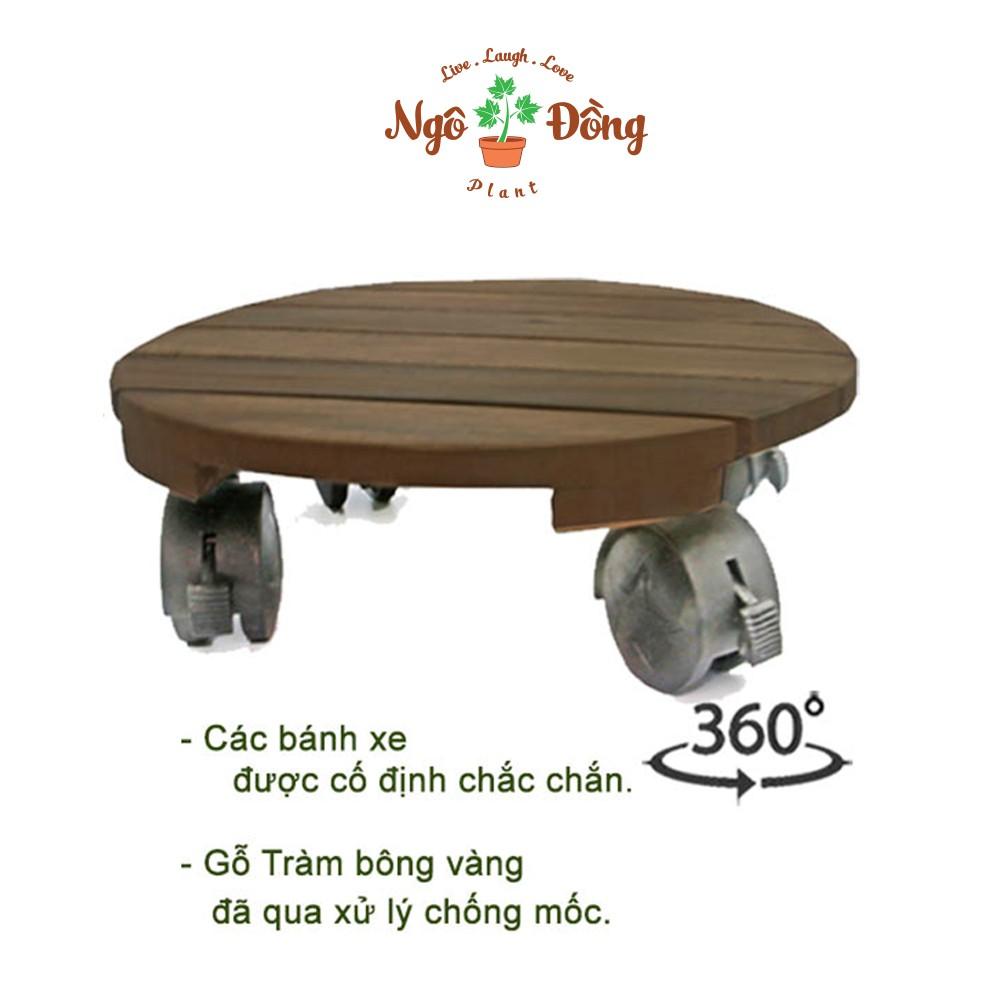 Đế Lót Chậu Cây Cảnh Chậu Hoa Chịu Lực Đến 80kg Bằng Gỗ Tràm Bông Vàng Trong Nhà Sân Vườn Ngoài Trời