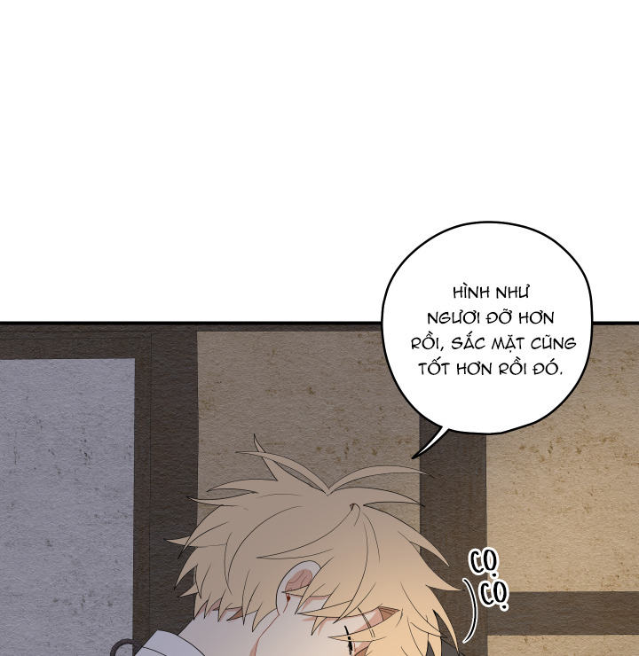 đường hoa liên kiều rơi chapter 24 59