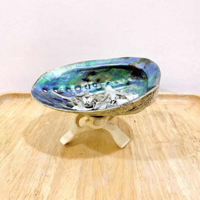 Đĩa ốc xà cừ Vỏ sò/bào ngư đốt sage/ xô thơm - Chân đế đỡ gỗ xoài ( Abalone Shell with Natural Wooden Cobra Stand)